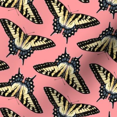 tiger swallowtail pattern on pink compressed
