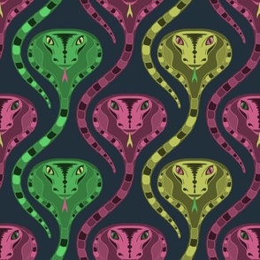 Tricolour Cobra Snakes 