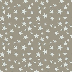 AAS Off white star on brown background