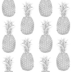 Graphit Pineapple