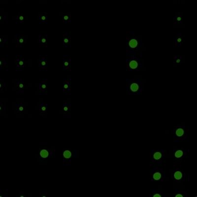 Dots Grid Black - Green