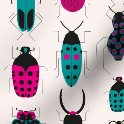 Large // Minimalistic Beetles