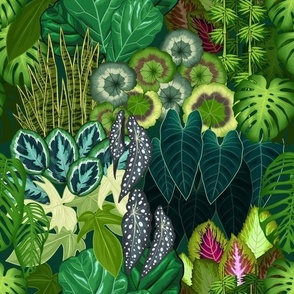 Tropical jungle