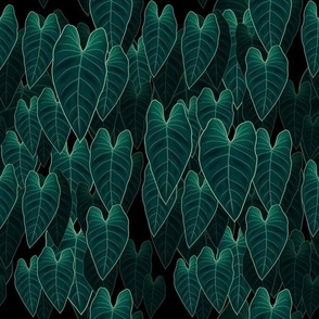 Dark Jungle - anthurium