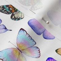 Botanical summer pattern with colorful watercolor butterflies