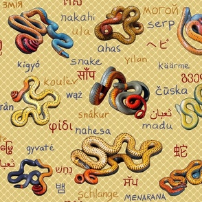 snakes and their  names