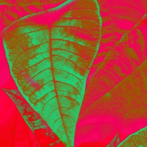 Bold Minimalist - Hot Spicy Leaves