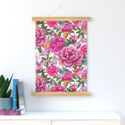 Pink Peony watercolor on white , large scale