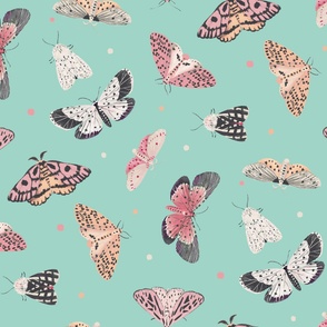 Jumbo Butterflies and Moths Baby Light Pink and Teal Background