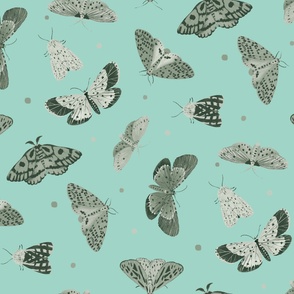 Jumbo Butterflies and Moths Grey and Teal Background