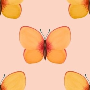 Peach Butterflies