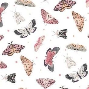 Small Butterflies and Moths Grey and White Background 