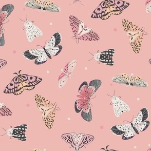 Jumbo Butterflies and Moths Pink Pastel and Pink Background 