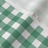 Amazon Green Gingham