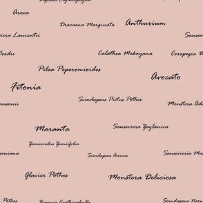 Seamless pattern with house plant names