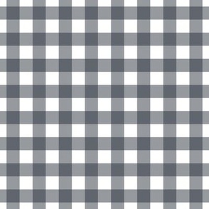 Blueberry Gingham