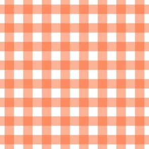 Dragon Fire Gingham