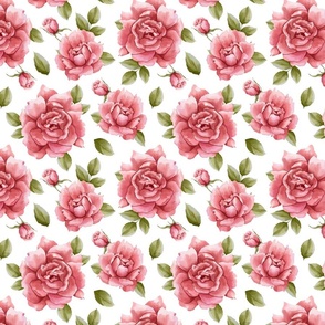 Pink Roses Flower Watercolour Pattern - on White
