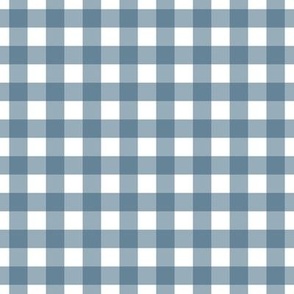 Midnight Blue Gingham