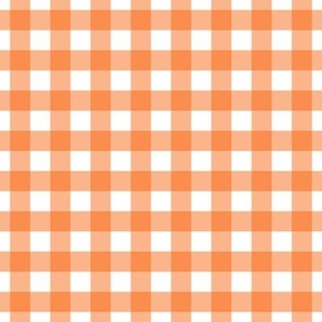 Orange Tiger Gingham