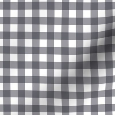 Polar Night Gingham