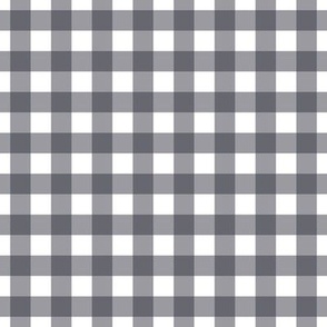 Polar Night Gingham