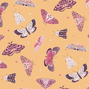 Small Butterflies and Moths Colourful and Orange Peach Background 