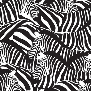Large jumbo scale // Exotic zebra stripes // black and white animal print