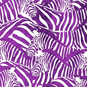 Large jumbo scale // Exotic and colourful zebra stripes // watercolour purple animal print