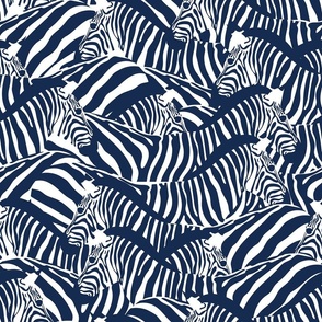 Normal scale // Exotic zebra stripes // navy blue and white animal print
