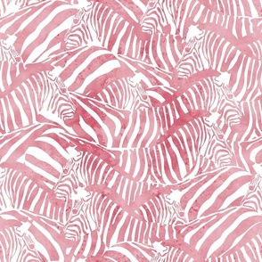 Normal scale // Exotic and colourful zebra stripes // watercolour blush pink animal print