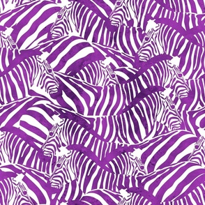 Normal scale // Exotic and colourful zebra stripes // watercolour purple animal print