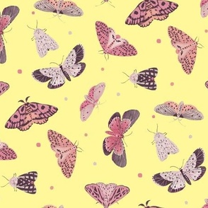 Small Butterflies and Moths Pinks and Yellow Background 