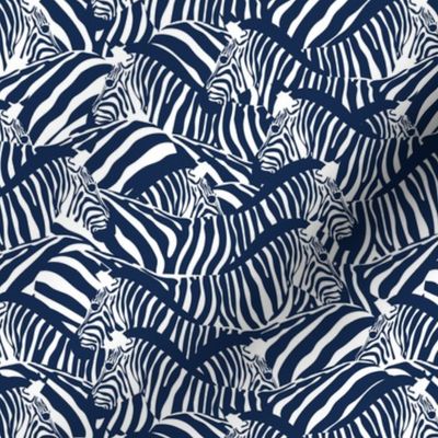 Small scale // Exotic zebra stripes // navy blue and white animal print