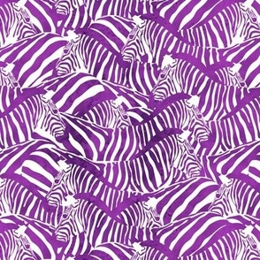 Small scale // Exotic and colourful zebra stripes // watercolour purple animal print