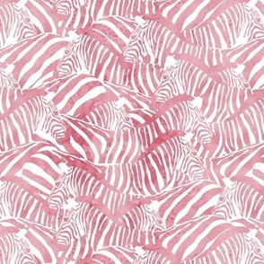Small scale // Exotic and colourful zebra stripes // watercolour blush pink animal print