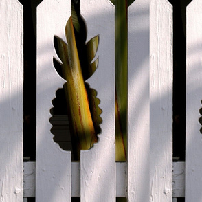 Tropical Pineapple Fence-ed