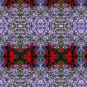 Flower Carpet