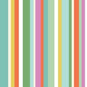Multi Stripe - Brights, Medium Scale
