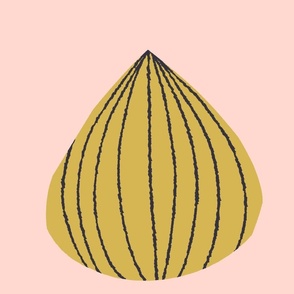 Big onion