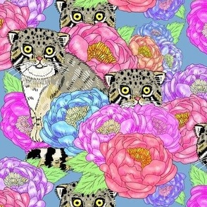 the weird Pallas’ Cat floral pastel peonies and Manul