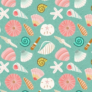 Sea Shells - Large