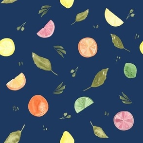 Citrus, blue, navy, dark blue, kitchen, lemon, orange, lime, ashleigh fish, watercolor