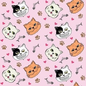 Cat Faces Pink