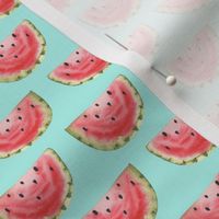 Watermelon, watercolor, mint green, bright, fruit, summer, spring, ashleigh fish, pink, cute,  girly, kids clothing
