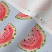 Watermelon, watercolor, blue, grey, light, fruit, summer, spring, ashleigh fish, pink, cute,  girly, kids clothing