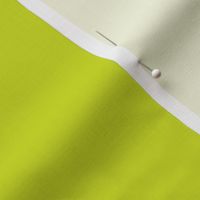 Bright Lime Citrus Green Solid Color 