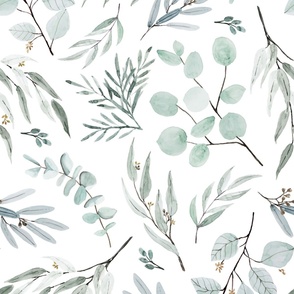 An Aquarelle Native Eucalyptus Leaves Fabric Wallpaper