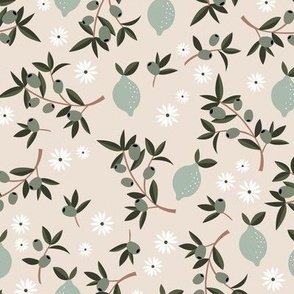 Italian summer olives and citrus garden leaves and daisy flowers mist green on beige sand LARGE