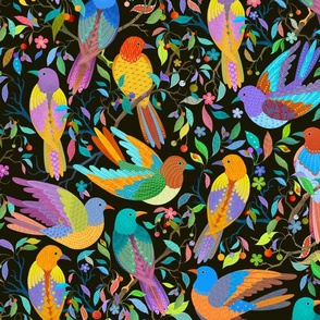 Colorful Birds on a black background